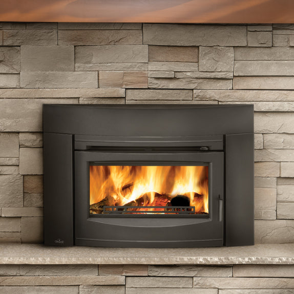 Modern wood burning stoves, Wood burning stove, Wood burning fireplace  inserts